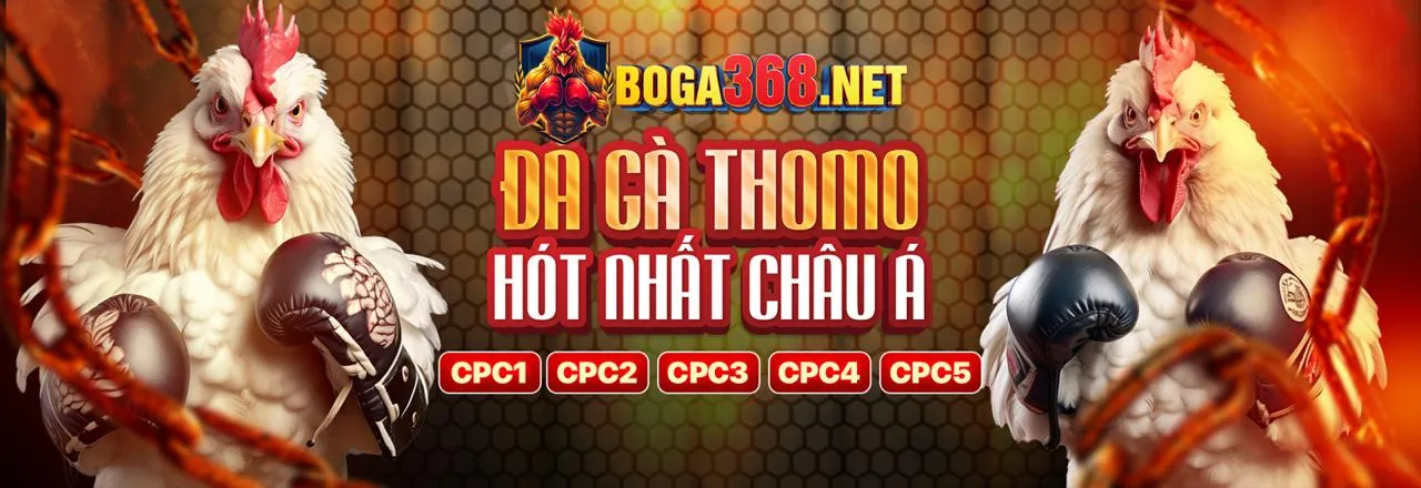 Đá gà trực tuyến Tydo88 chính thức