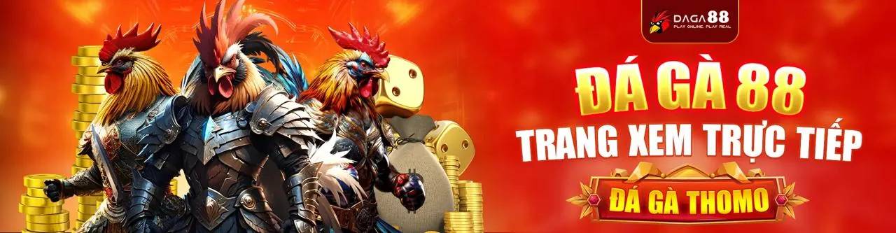 Hình ảnh chính sách quyền riêng tư của tydo88 trang chủ chính thức